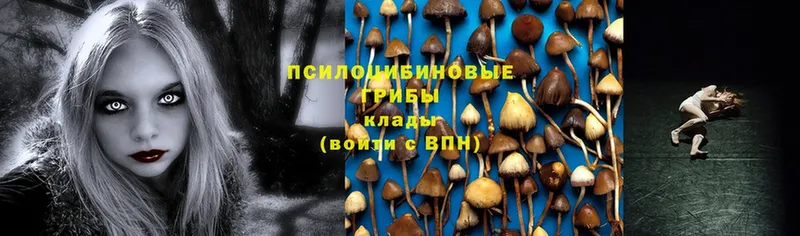 наркотики  Мирный  blacksprut ССЫЛКА  Псилоцибиновые грибы MAGIC MUSHROOMS 