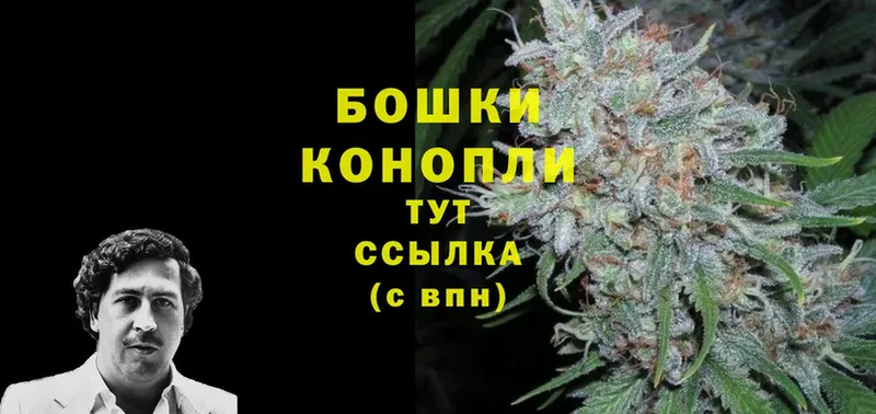 Марихуана Amnesia  продажа наркотиков  Мирный 